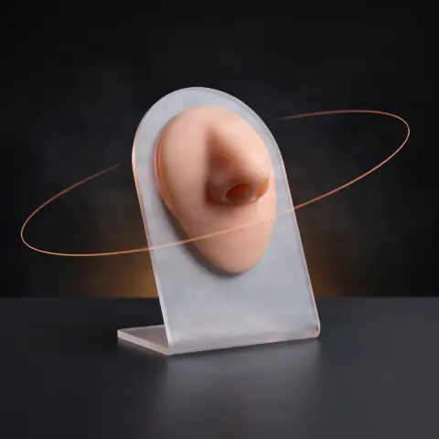MODEL DE NAS DIN SILICON PENTRU PRACTICĂ PIERCING