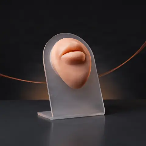 MODEL DE BUZE DIN SILICON PENTRU PRACTICĂ PIERCING