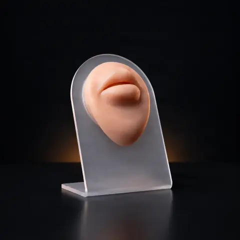 MODEL DE BUZE DIN SILICON PENTRU PRACTICĂ PIERCING