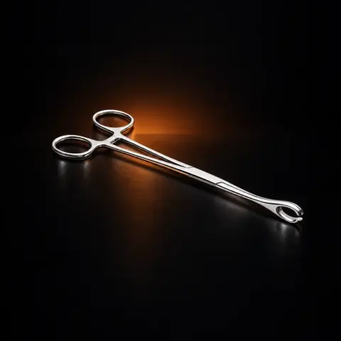 Forceps Inox Sponge Deschis