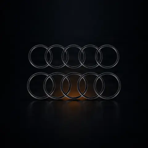 Set Oring-uri pt Pen 2 seturi * 5 buc