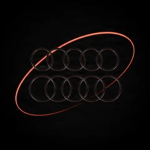 Set Oring-uri pt Cheyenne Pen 5 seturi *2 bucati