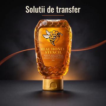 Solutii de transfer